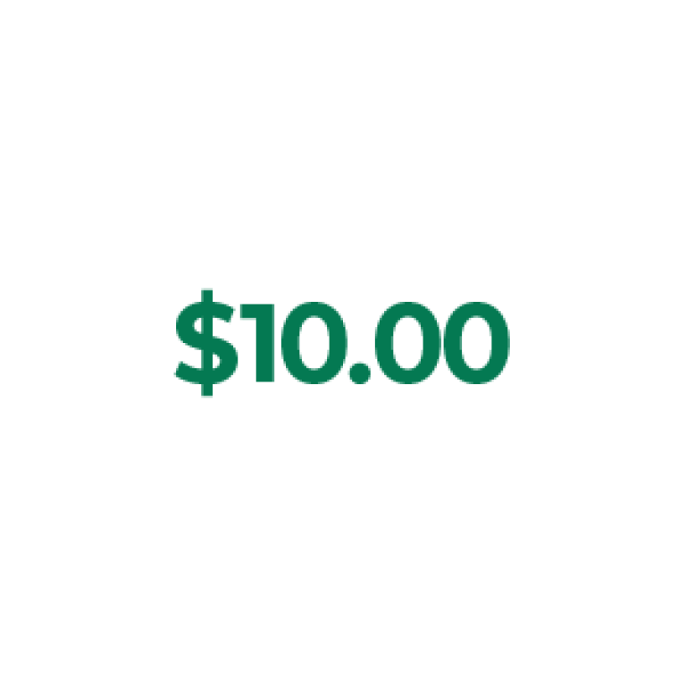 Ten Dollars Icon
